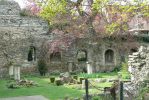 PICTURES/Road Trip - Canterbury Cathedral/t_Ancient Ruins2.JPG